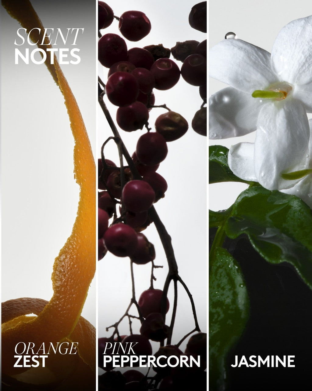 Body Start'r Set Full-Size Bundle